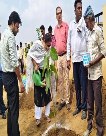 Plantation by ADA